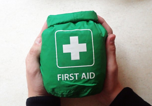 A fairly large First Aid kit that will provide most of what is necessary for a small groups needs, including children