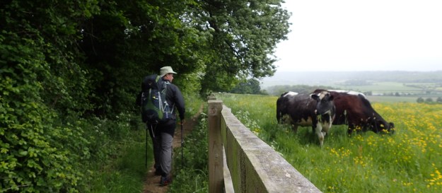 Cattle troughs are frequently encountered. Stop cocks are all automatic or closed from access. Only the water in the trough is accessible and requires treatment. Alternative sources are recommended