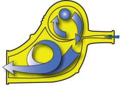 Cross section of whistle