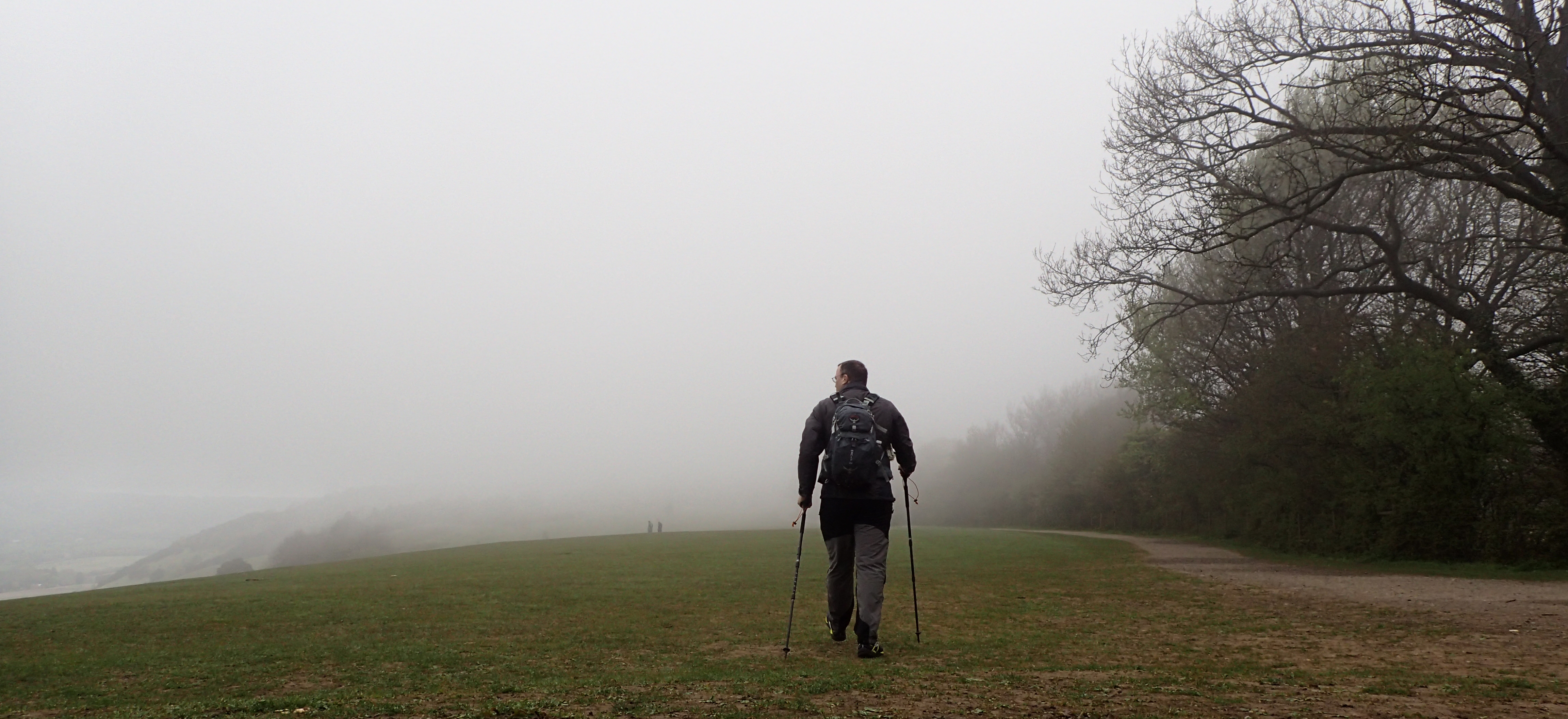 Misty mornings in May on the Surrey hills
