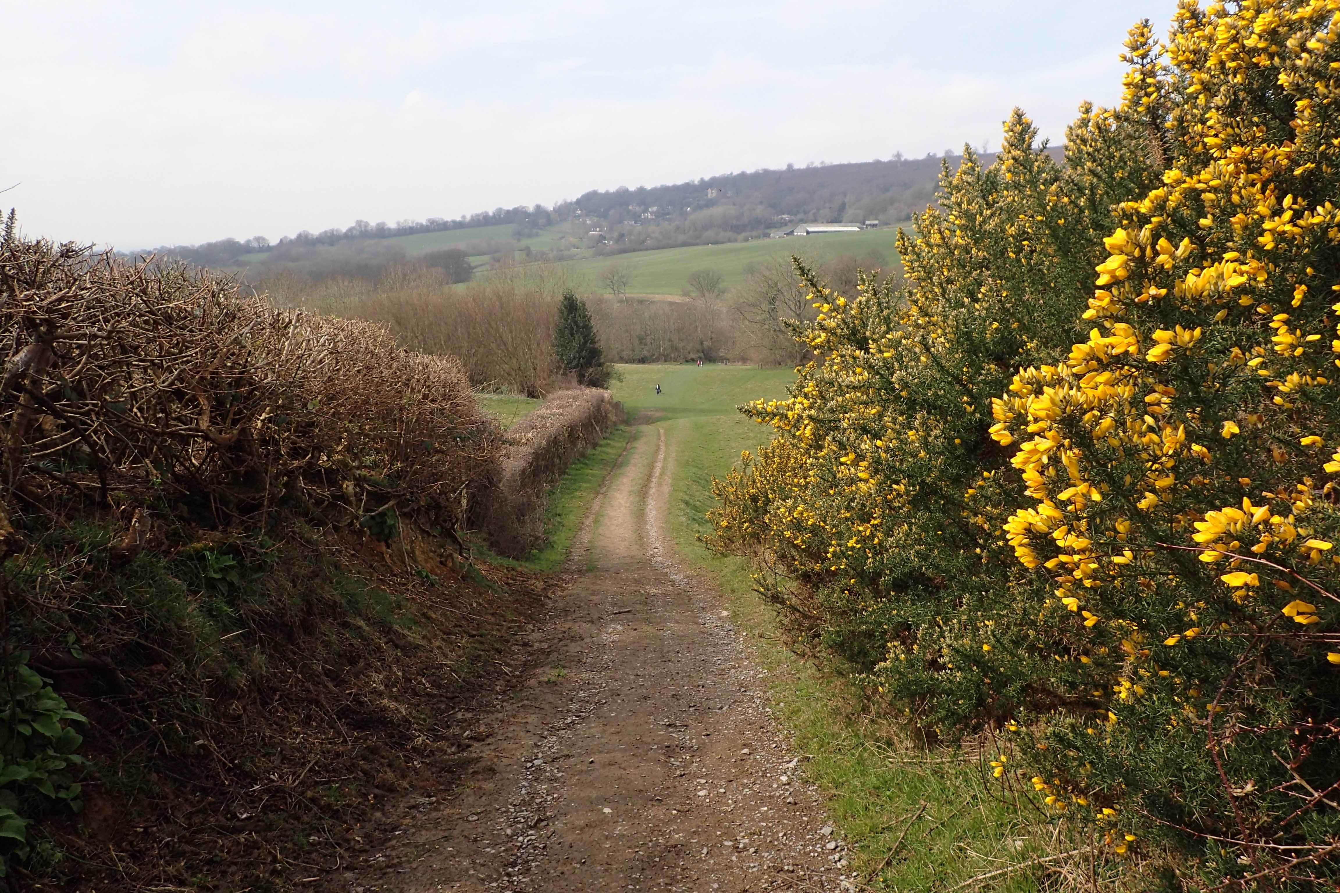 The way ahead beckons. Leaving Ide Hill in April 2016