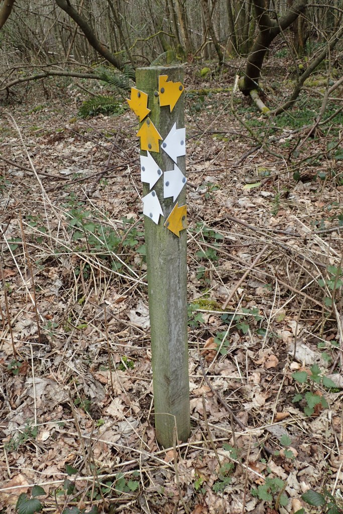 Some signs are less helpful than others