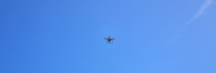 My companion for part of the London Countryway today