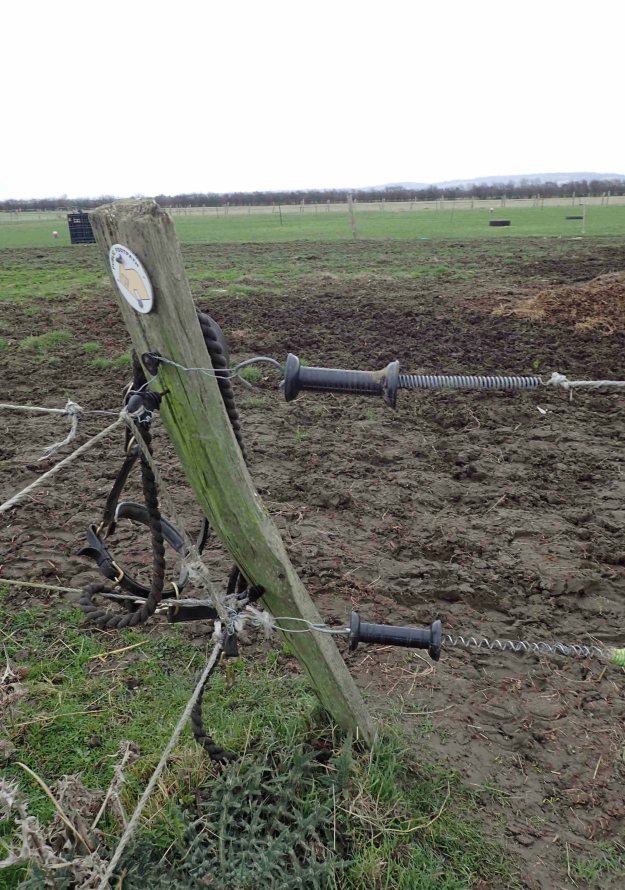 Many scrappy horse paddocks in Essex were crossed on the London Countryway, however here, inlike other parts of the trail, land owners has scant regard for the needs of walkers. Signage was moved and countless electric fences erected with no easy way of crossing them. On many an occasion I was forced to throw a pack and oles across and crawl in the mud below a wire