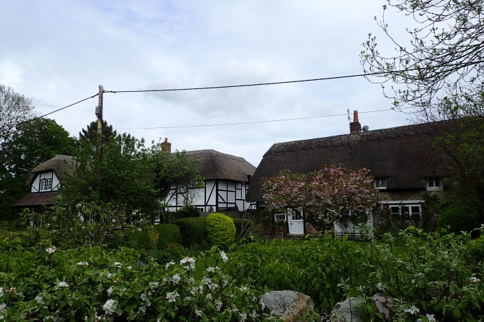 Pastoral splendour on The Ridgeway