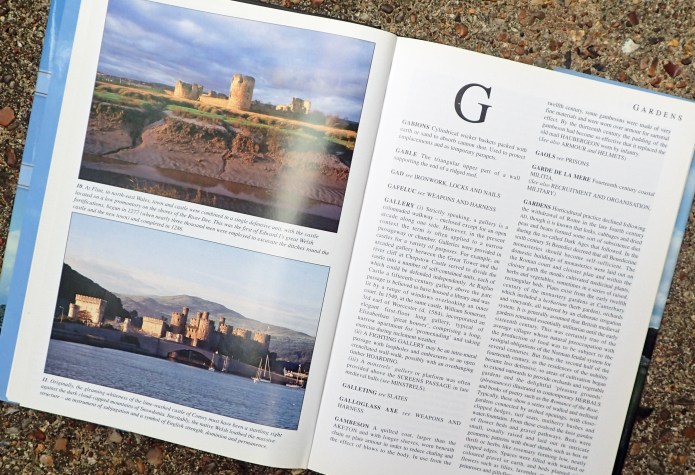 Detail from Stephen Friars book on castles