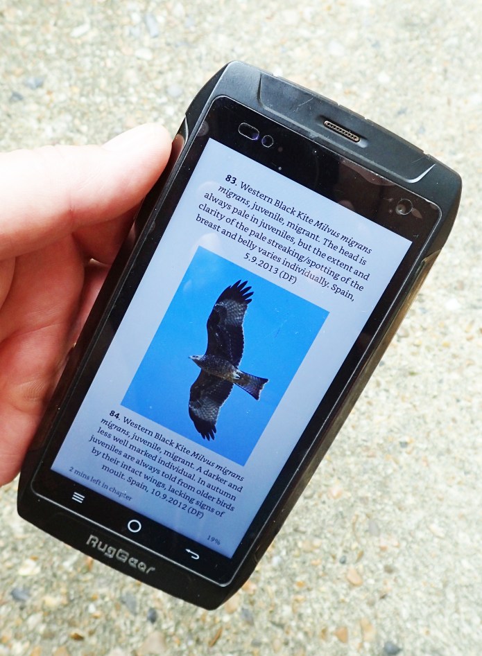 Three Points of the Compass purchased the Kindle edition of Dick Forsman's The Raptors of Europe, North Africa and the Middle East and uploaded to my android phone. This also offers the facility to zoom in on images