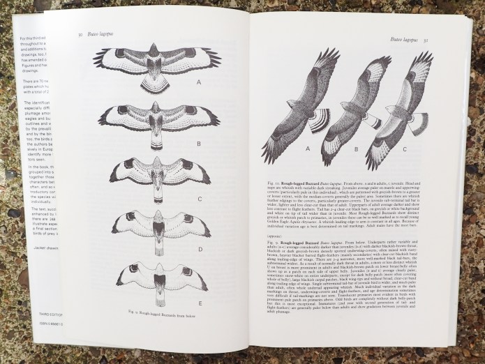 Birdwatching on the North Kent Marshes in winter meant fervent hope that a Rough Legged Buzzard may have wandered over from Scandinavia. Flight Identification of European Raptors was invaluable for pulling these birds out of the more commonly encountered Buzzard 