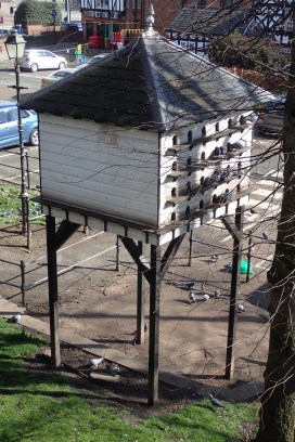 Dovecot, walking the town walls, Chester