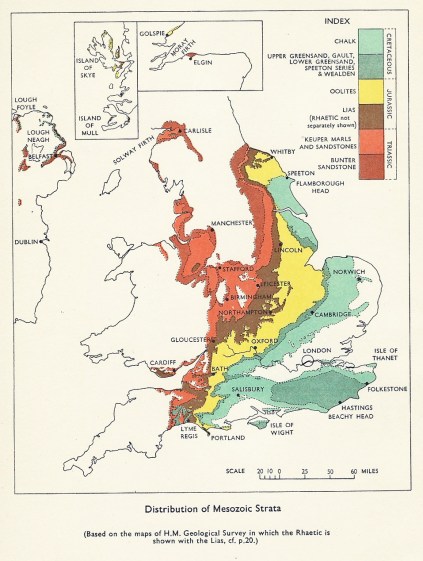 Page from British Mesozoic Fossils