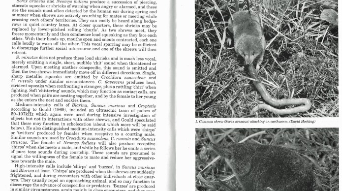 Some content from the 'Shrews' monograph from Helm