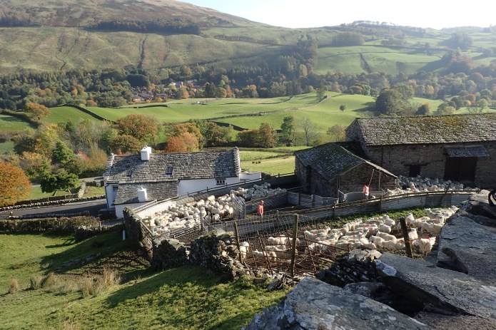 A mixture of farm buildings passed in the Lake District