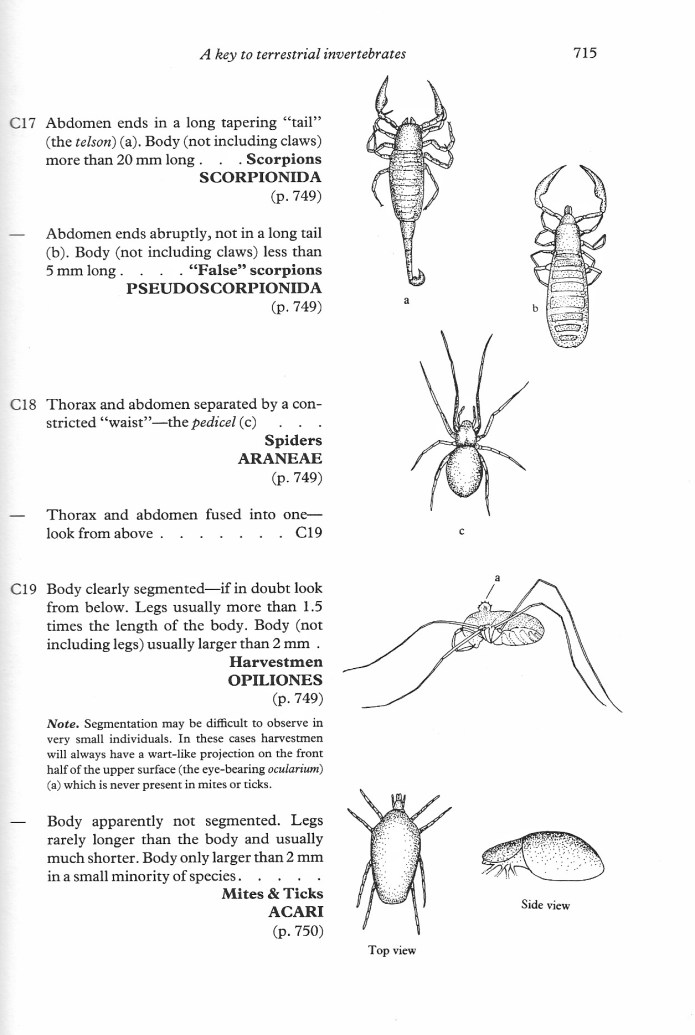 A page from the AIDGAP guide to major groups of British Terrestrial Invertebrates