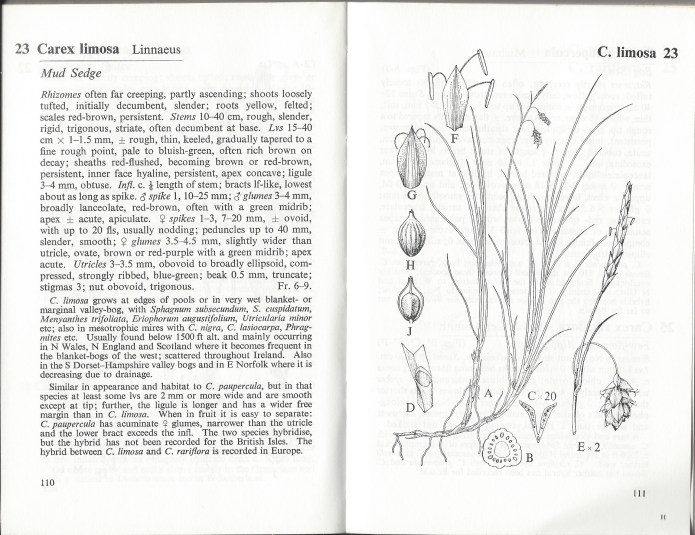 BSBI have produced a number of specialist guides to 'difficult' groups. All are good