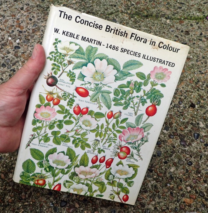 Keble Martin's Concise British Flora is an old book, sadly, some reprints reproduce his delicate, accurate and fine illustrations quite poorly. There is unlikely to be any other book that shows diagnostic features any better