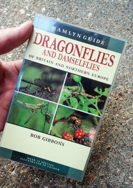 For those who prefer a photographic guide, less useful that they are, the small volume from Bob Gibbons includes good quality images, of both male and female when dissimilar in appearance, most photographs were taken by the author