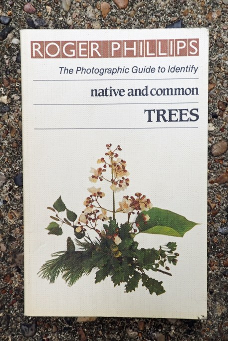 The large photographic guides from Roger Phillips are simply too large to take into the field. However he has also produced some handy pocket sized guides, amongst these was his guide to native and common trees, covering 92 species
