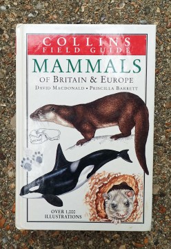 As usual, Collins publish excellent Field Guides to Mammals. Such a volume works brilliantly alongside a good reference work such that by Corbet and Southern
