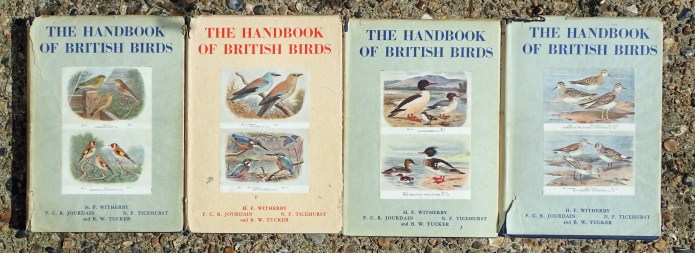 The Handbook of British Birds, (published 1938-41) by HF Witherby et al were masterful works in their time. I have four of the five volumes published. Pioneering as they were, they set a standard that BWP more than supplanted