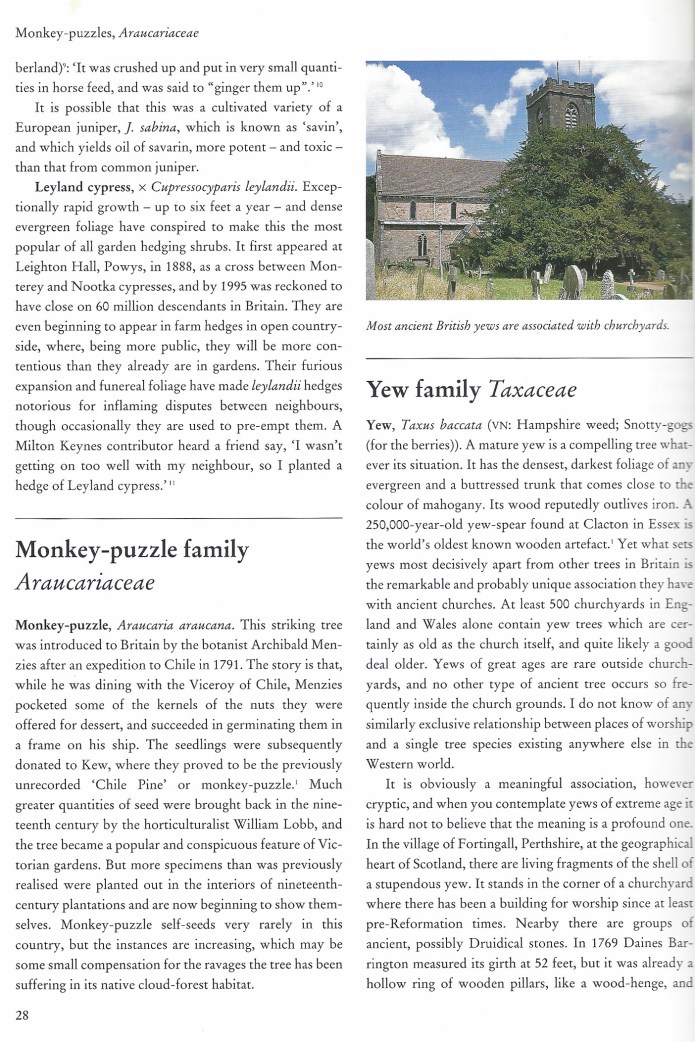 A page from Flora Britannica. I defy anyone to not find such detail fascinating 