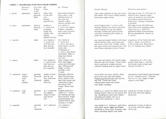 Useful guide to separating seven Calidris species included in the BTO guide to Holarctic Waders