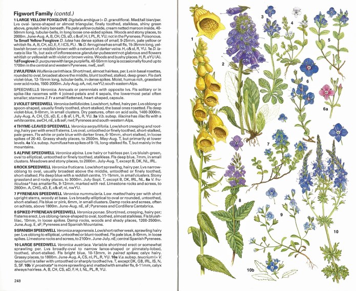 Sample pages from the Collins Field Guide to Alpine Flowers