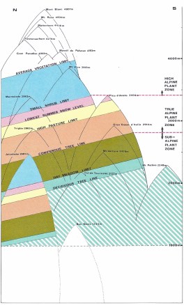 The zonal ranges of Alpine Plants