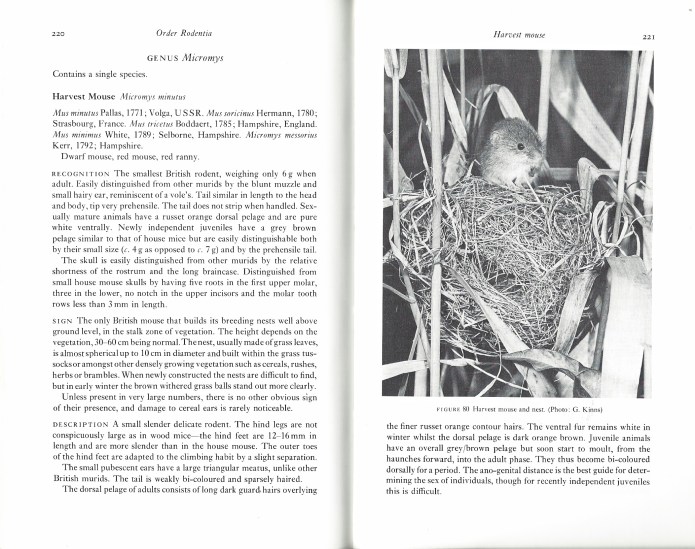 Part of the seven and a half pages that covers the Harvest Mouse in Great Britain