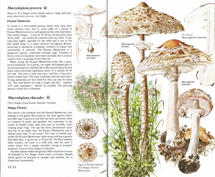 Two pages from volume 2 of the Penguin Nature Guides for Fungi.