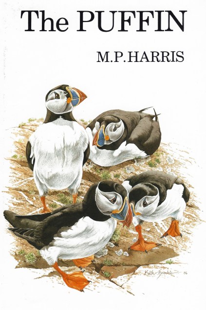 The wonderful paintings used on the white dust jackets of most Poyser bird monographs are a joy