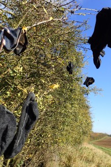 Drying clothes at a midday halt