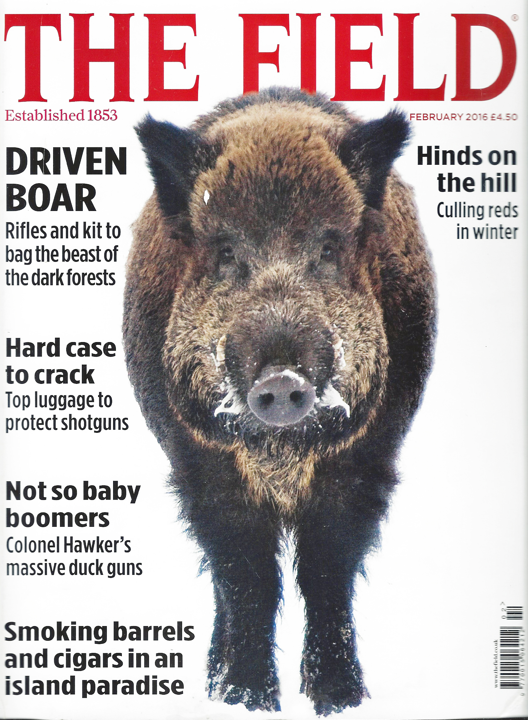 The Field, February 2016, Boar hunting in France