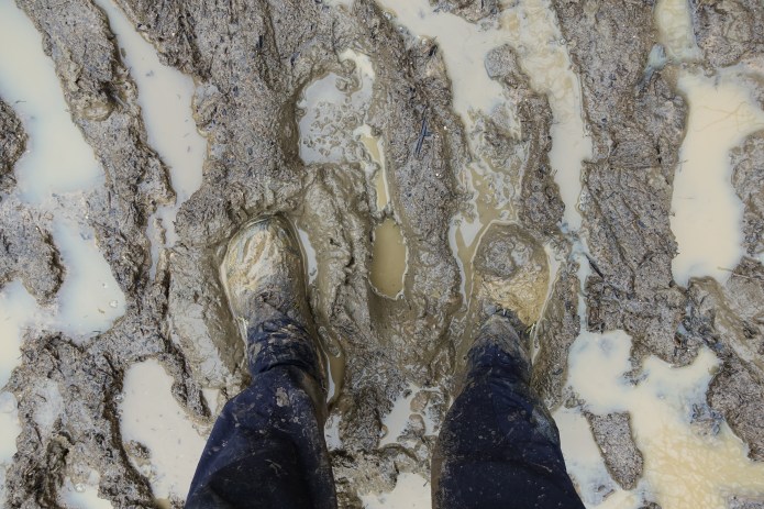 The trail was often muddy, especially in the first few weeks in the Spring. Fine silt would work its way through the mesh of the trail shoes and this would build up in the thick pile of my Darn Tuff socks