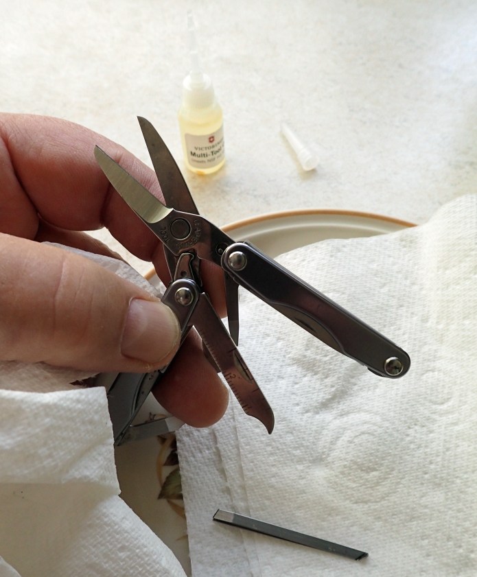 If taking a multi-tool on trail, any of these have numerous crevices in which food and gunk can accumulate and fester. A decent periodic clean will help reduce the chance of cross-contamination