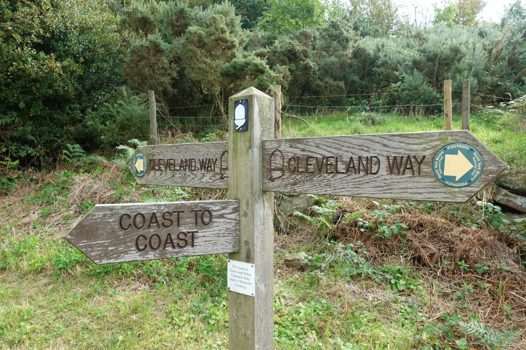 The Coast to Coast joins the Cleveland Way for a few miles of its length and the number of walkers seen increases as a result. Care must be taken to not wander from the correct path