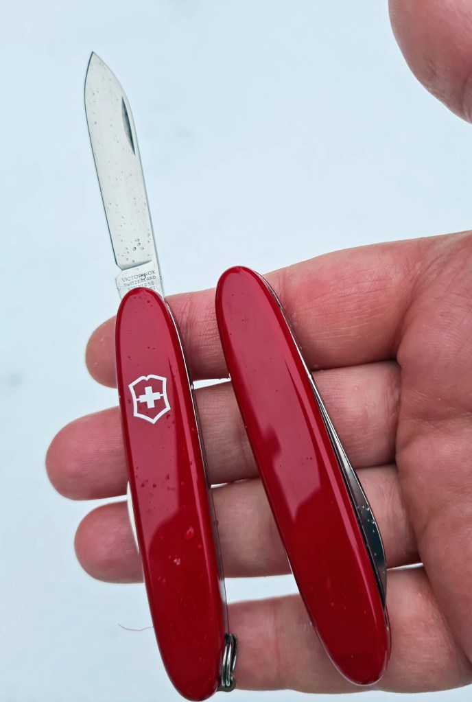 Front and back scales of Excelsior