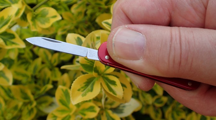Pocket Pal has a small blade, as to be expected in such a tiny tool
