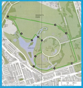 Stroll Green Trail- 3.7km