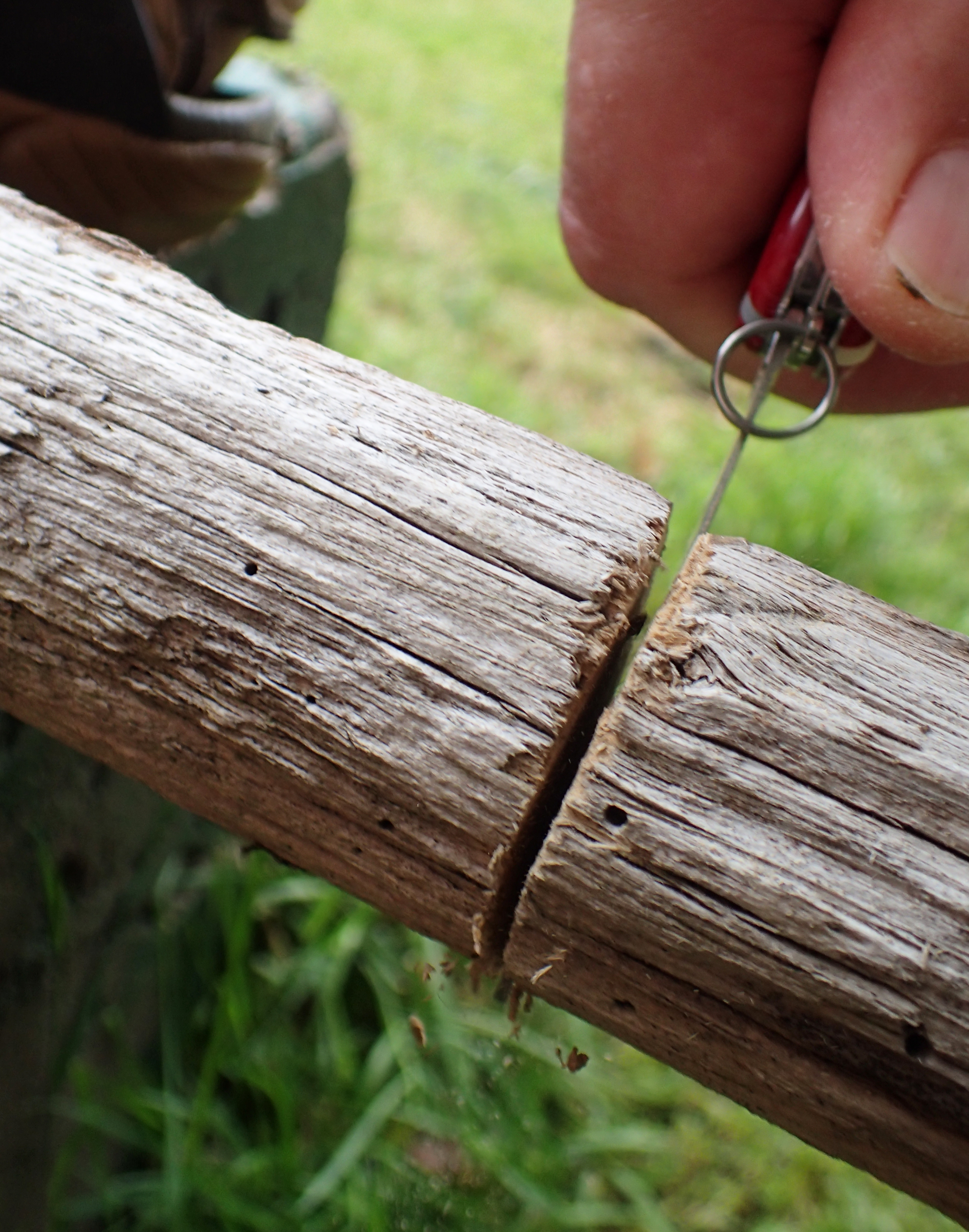 The saw on the Victorinox Walker will easily saw through dry wood as thick as a child's arm