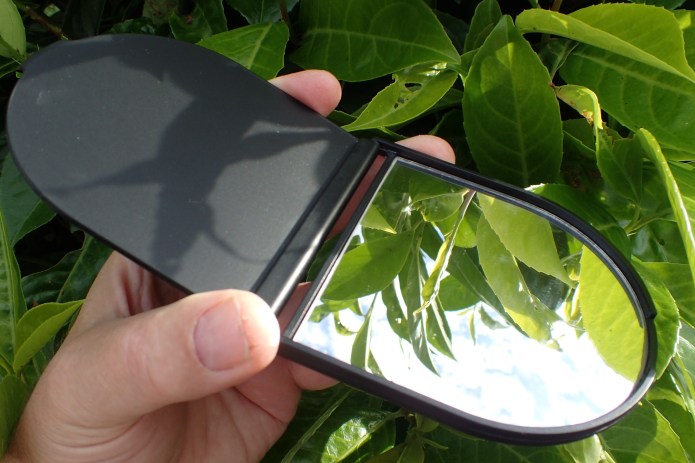 Large single face glass mirror in plastic clam shell case