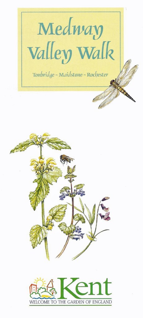 Illustration by Sandra Fernandez in KCC guidebook to the Medway Valley Walk, 1996