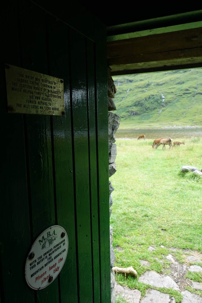 Deer outside the door of Sourlies