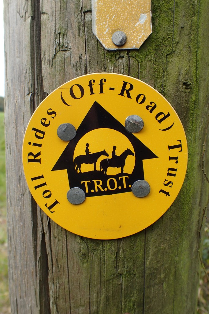 Bough Beech loop walk