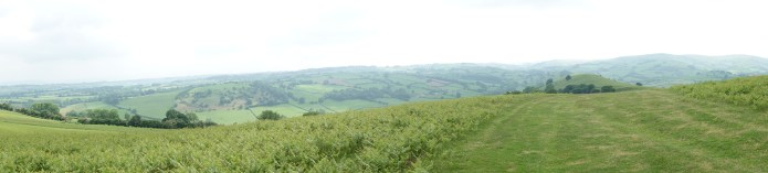 Following Offas Dyke Path along Hergest Ridge, beautifully contoured hills offer a variety of slope angle both up and down