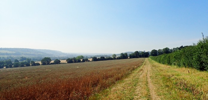 Heading on and down to Lullingstone