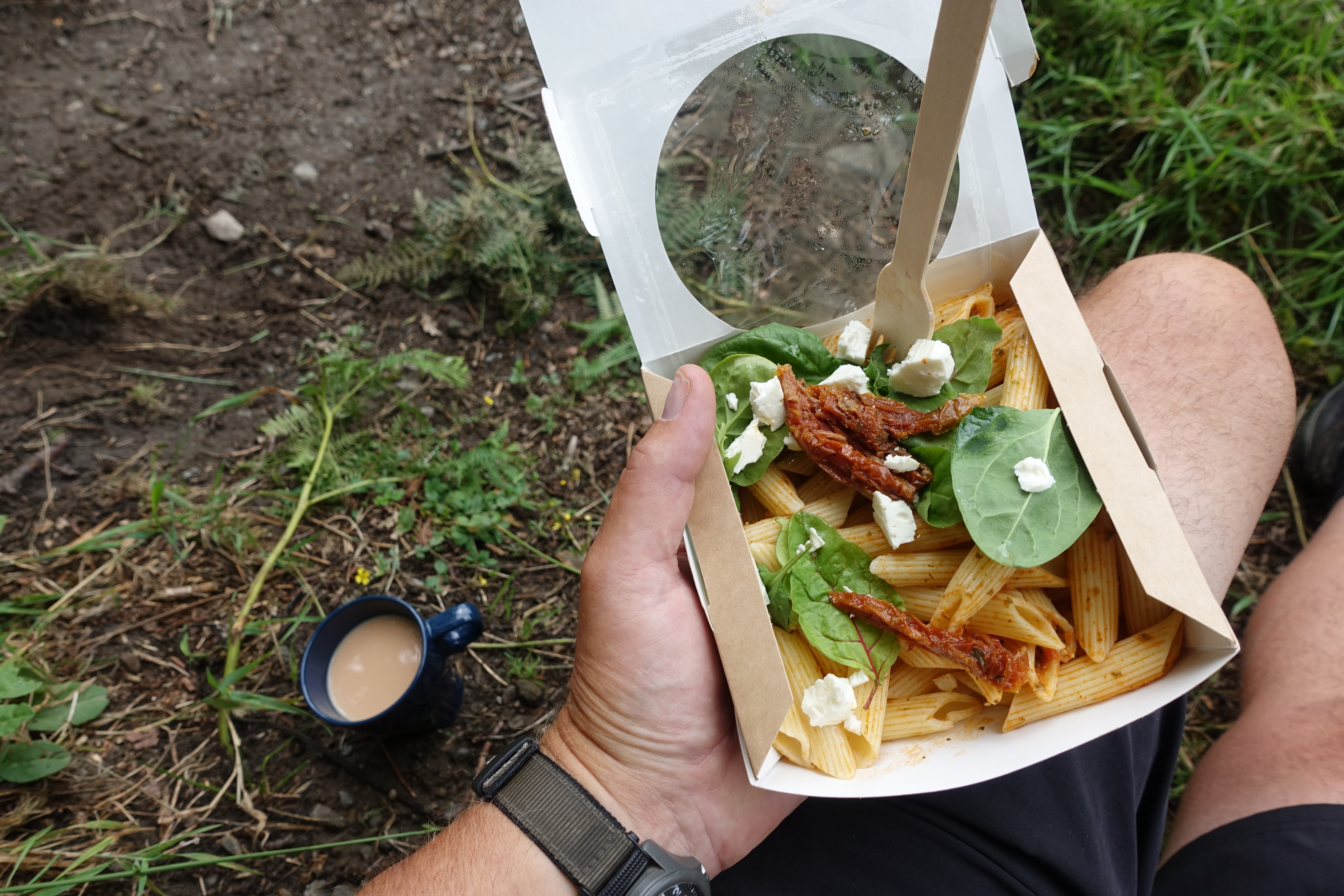 The Cherry Tree Cafe is a newer seasonal on trail stop for hikers on the West Highland Way. Everything has to be carried in by the priotors, though offerings such as this tomato and pasta dish with fresh garnish can not be faulted
