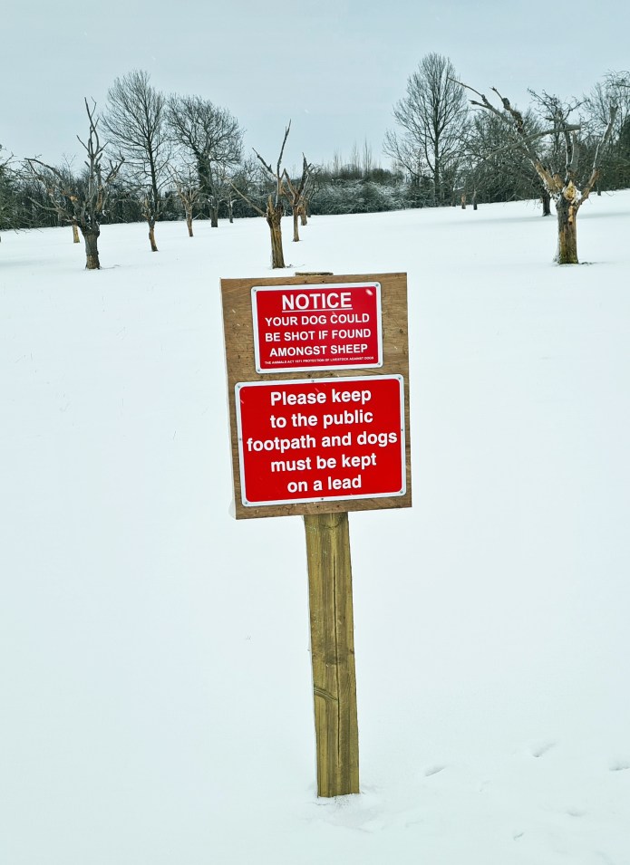 All well and good, but where is the path!