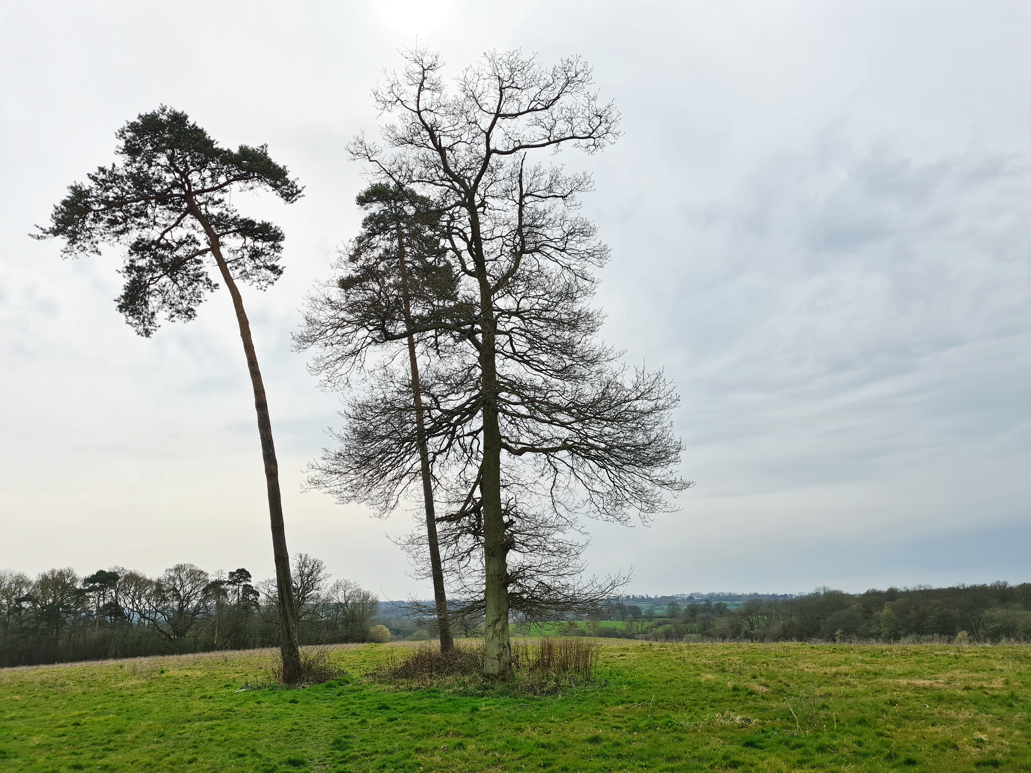 A lunchtime halt with a view on many a day