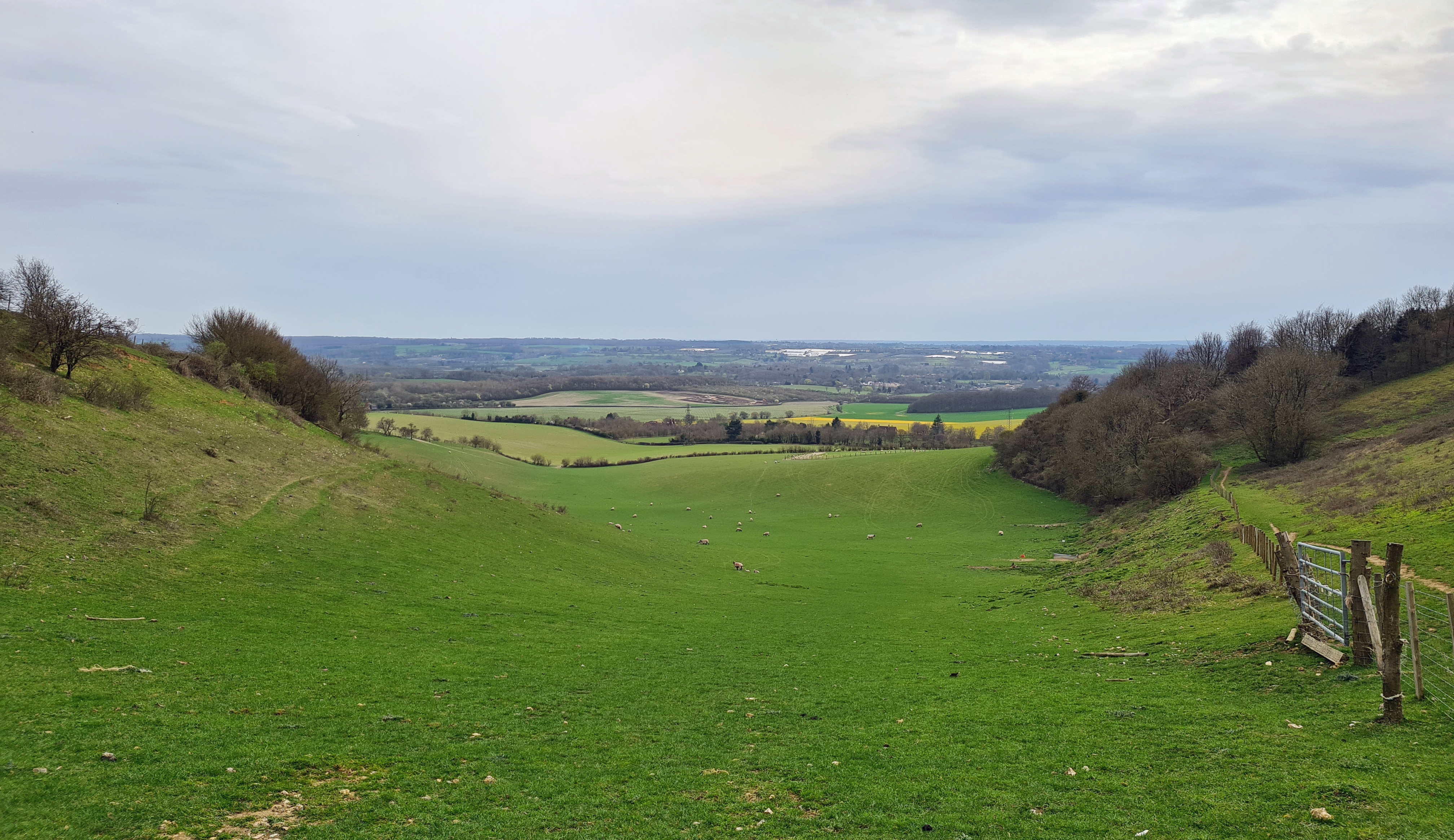 North Downs Way rollercoasters the dry valleys