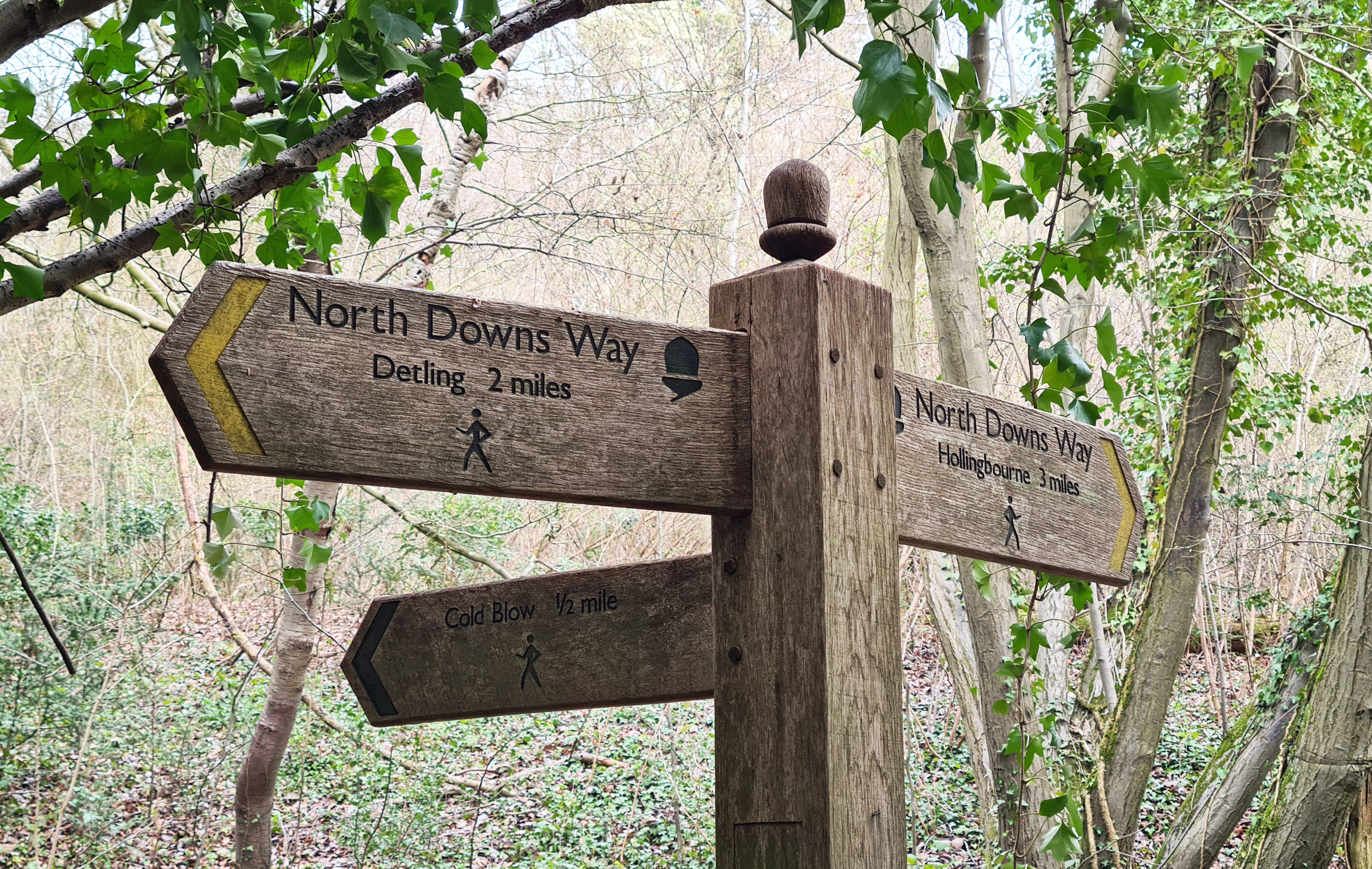 Part of my 'not-so-local local walk' takes in a few miles of the North Downs Way